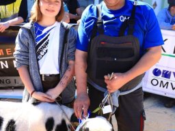 2019_ausstellung polling_431